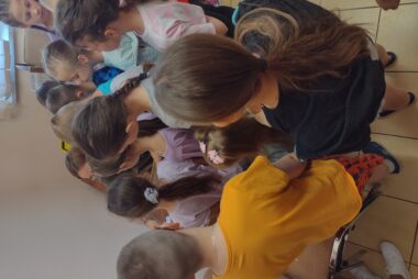 Zdjęcie z galerii Warsztaty tworzenia mydełek